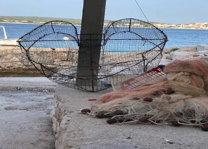 Seafront House Antonia *