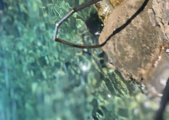 Seafront House Antonia Dom wakacyjny Rogoznica (Sibenik-Knin)